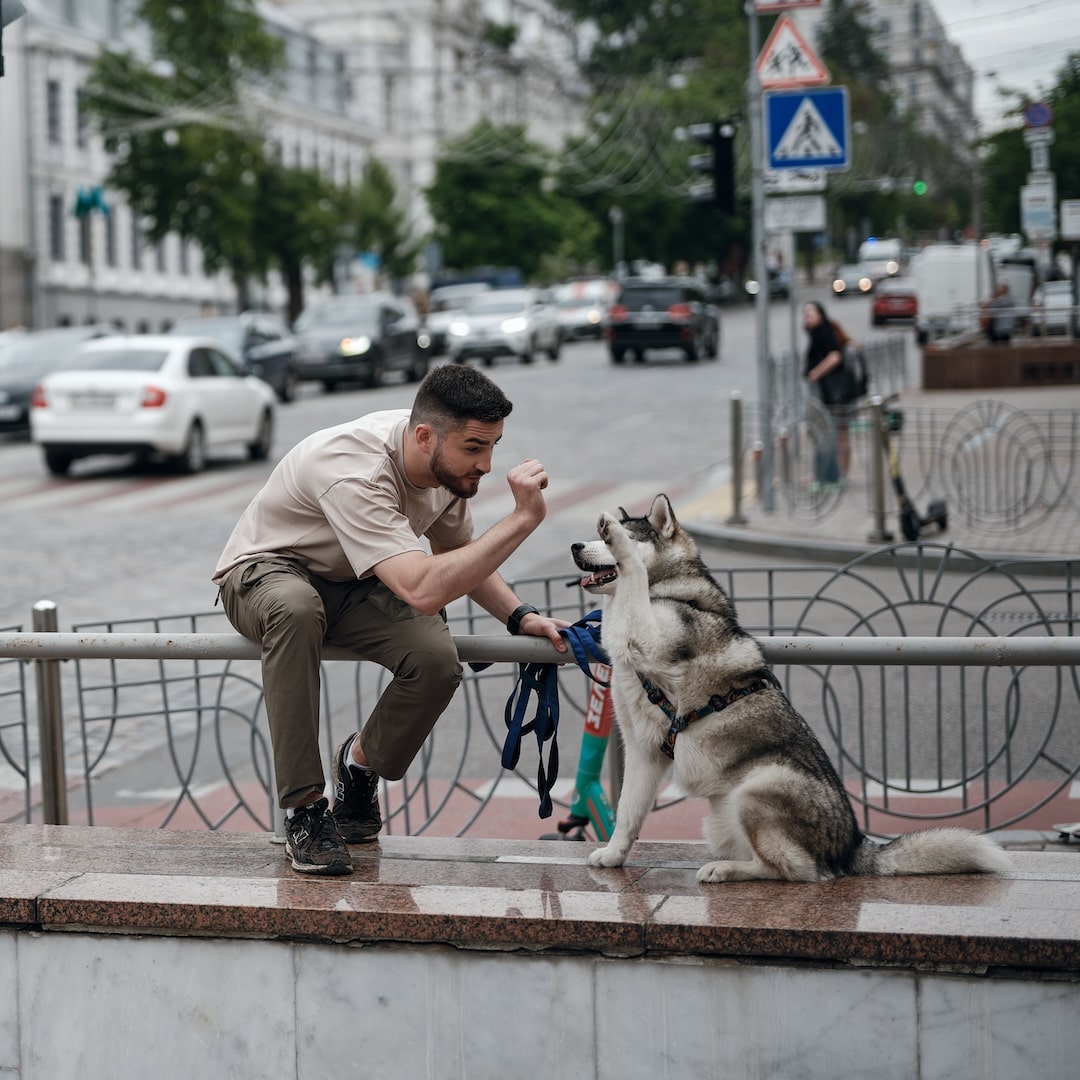 ЖИТИ НАЗУСТРІЧ
